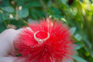 Engagement Photos (18 of 18)